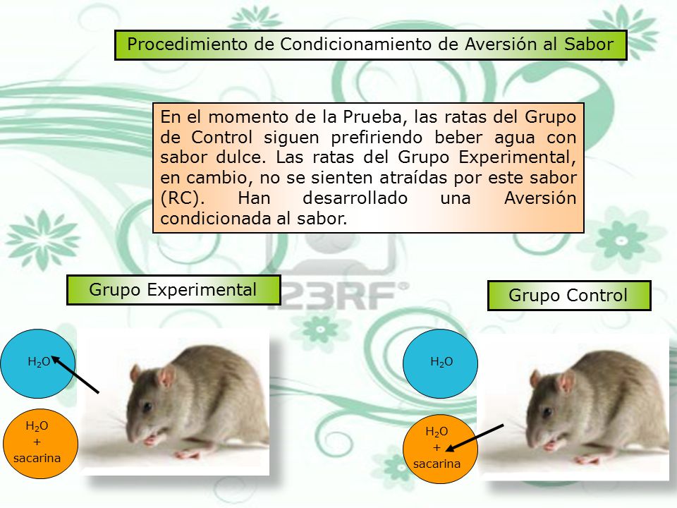 experimento condicionamiento clasico aversion a sabores